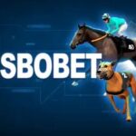 Kesalahan Pemain Pemula Dalam Main Judi Bola