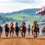 Daftar judi balap kuda Terpopuler