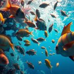 situs judi tembak ikan terpercaya